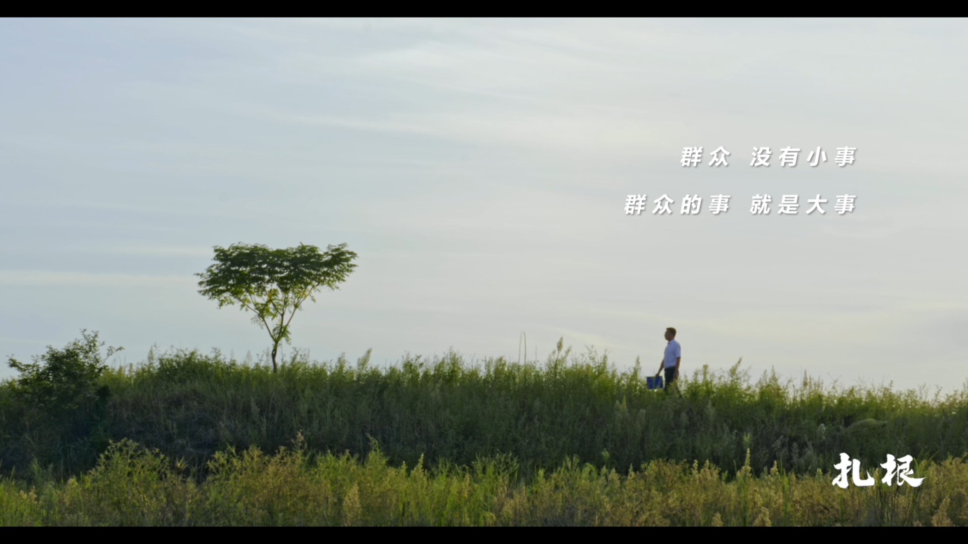 扎根作品画面